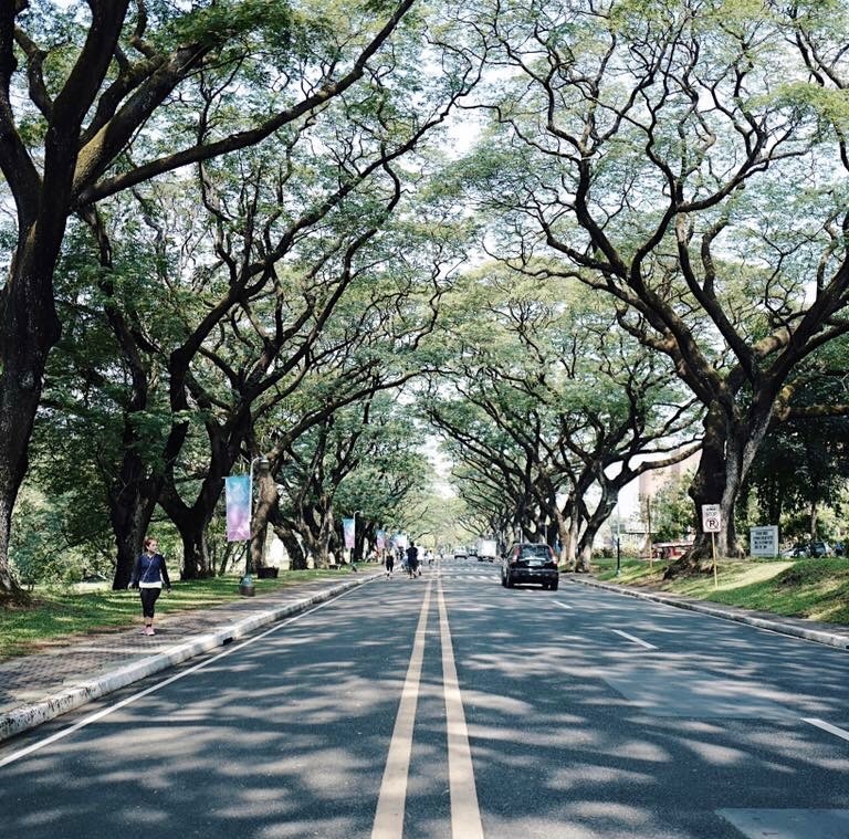 「フィリピンの東大」フィリピン大学（ディリマン校）ってどんなところ？