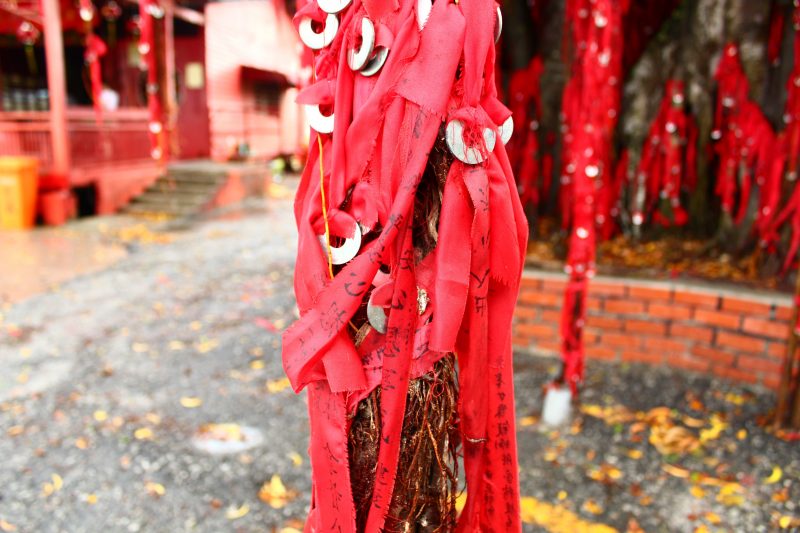 【マレーシアのパワースポット巡り①】日帰りで訪れるセキンチャンの絶景＆願い事の木