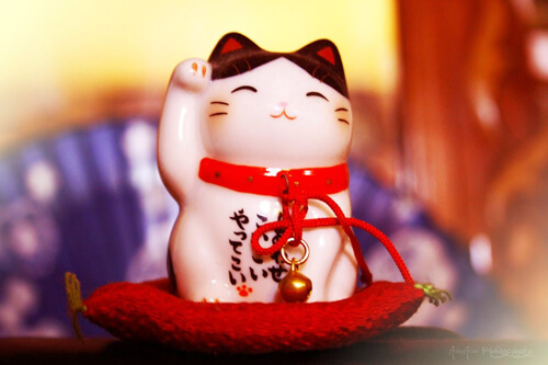 ベトナム人が喜ぶ日本のお土産【女性向け・男性向け・家庭向けを紹介】