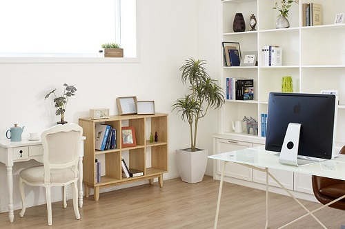 絶対部屋に出て欲しくない！マレーシアでの虫・動物対策・駆除方法！