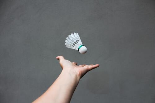 【国民的スポーツ】インドネシアの国技って・・・？？＜バトミントン＞