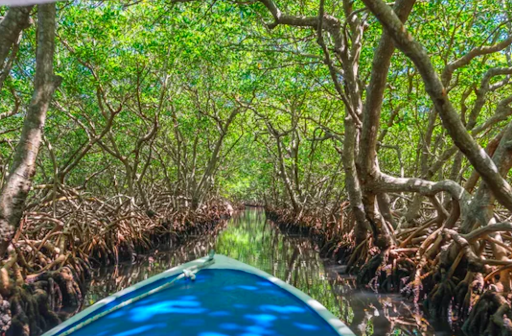 大自然を楽しむ！マレーシアのおすすめアクティビティまとめ