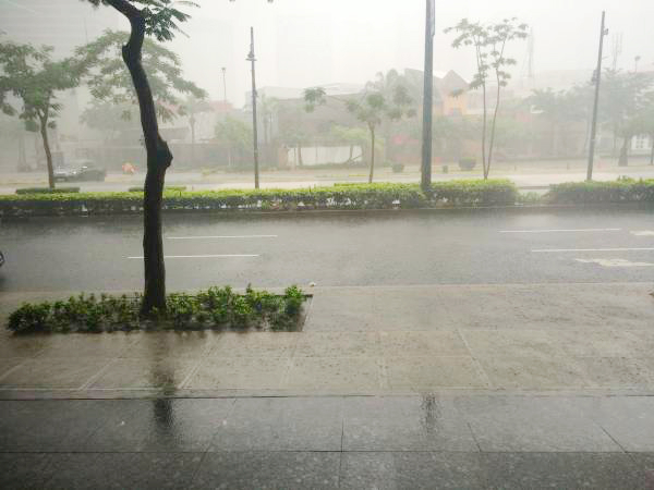 【経験者が教える】1週間以上も高熱が続く「デング熱」の予防法