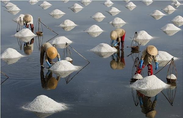 とっても“塩辛い”ベトナムの伝統的な製塩技術