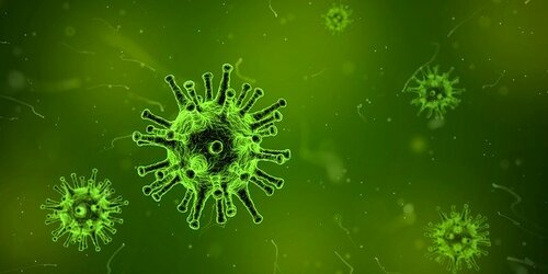 シンガポールの新型コロナウイルス感染状況と対策から学ぶ②