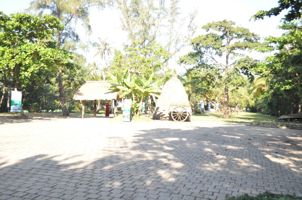 綺麗で緑に囲まれたiconic運動会会場