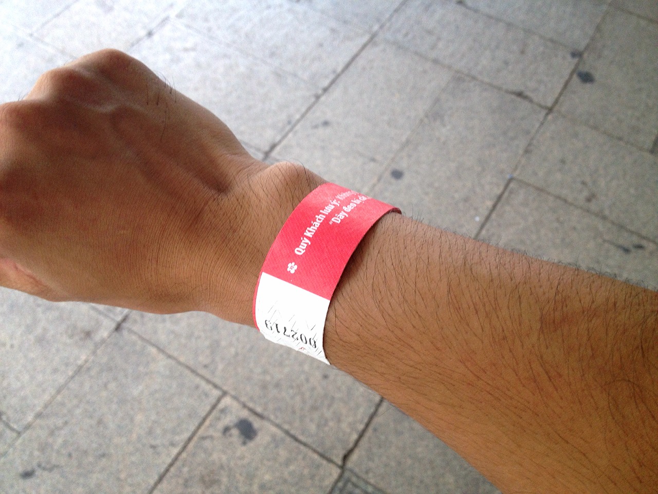 ダムセン遊園地のリストバンド