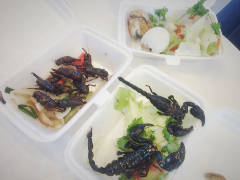 サソリの料理とコオロギの料理