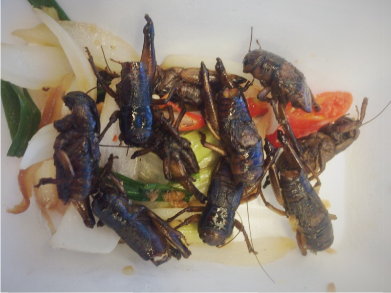 コオロギの料理