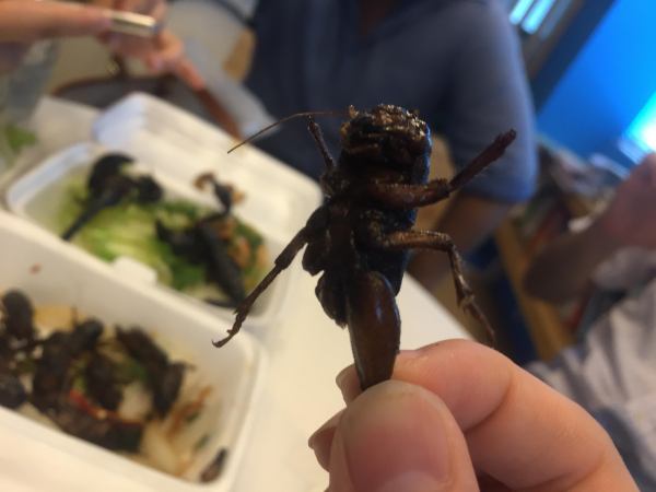 実食①こうろぎ