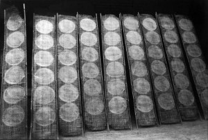 ライスペーパーの製造過程④