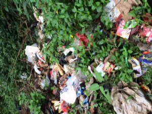 道端に捨てられたたくさんのプラスチックごみ