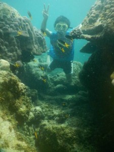 シュノーケリング中に見つけた岩の隙間