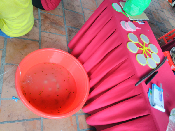 ベトナム版金魚すくい