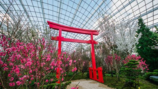 ガーデン内の鳥居