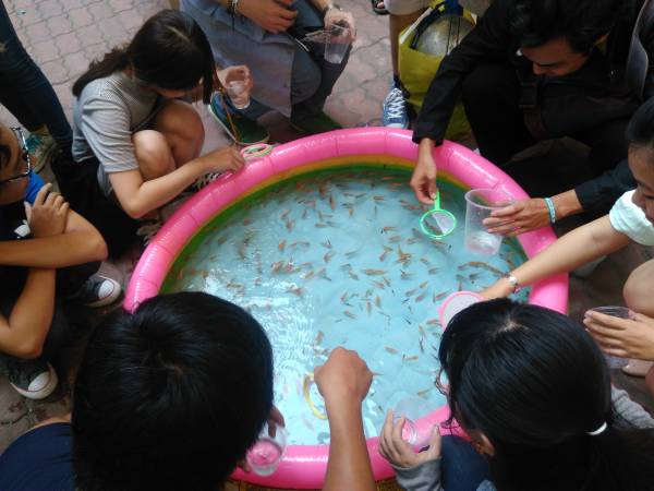 ベトナム風金魚すくいの様子