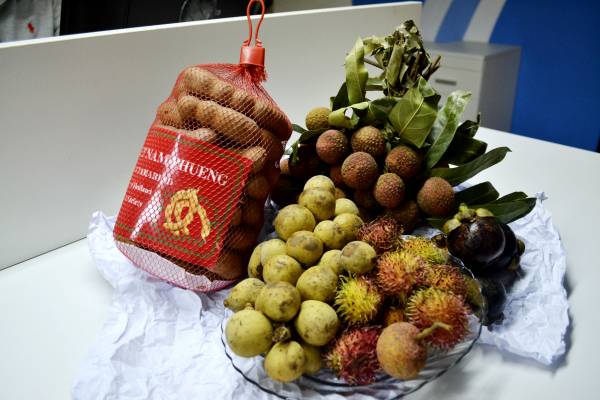 ベンタン市場で購入したフルーツ