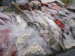 陳列されている新鮮な魚介類