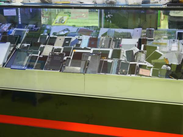 ショーケース内の様子