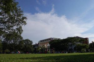 フィリピン大学ディリマン校①