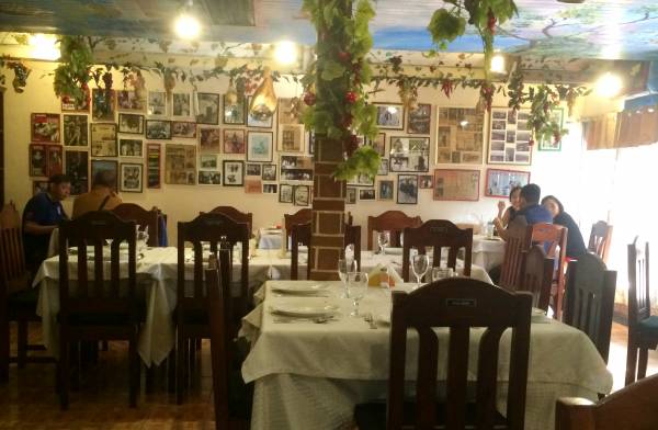 植物のつるが柱や天井に飾られた店内