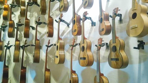 マンゴーの期から作られたウクレレが壁に立てかけられている