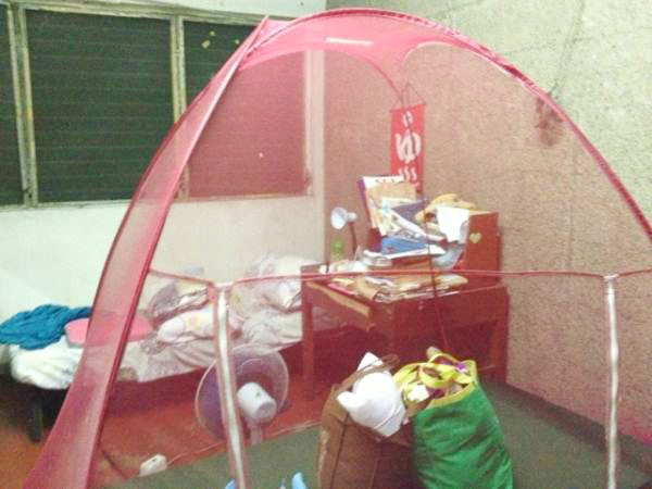 部屋内に設置されたモスキートネット