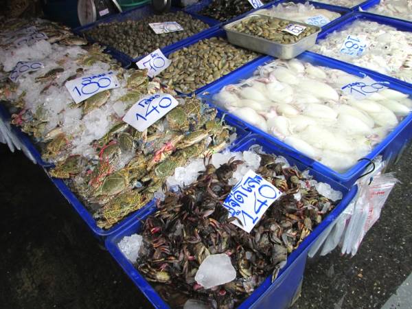 新鮮なカニやイカが並べられています