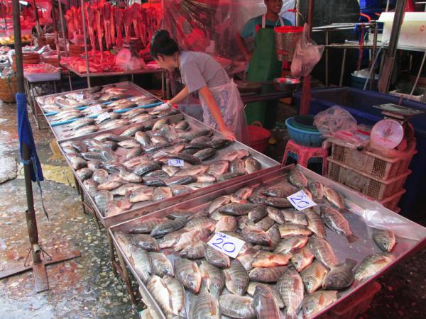 多くの魚が並べられており”市場らしさ”を感じることができます。また淡水魚・海水魚とわず並べられており非常に種類が豊富です。