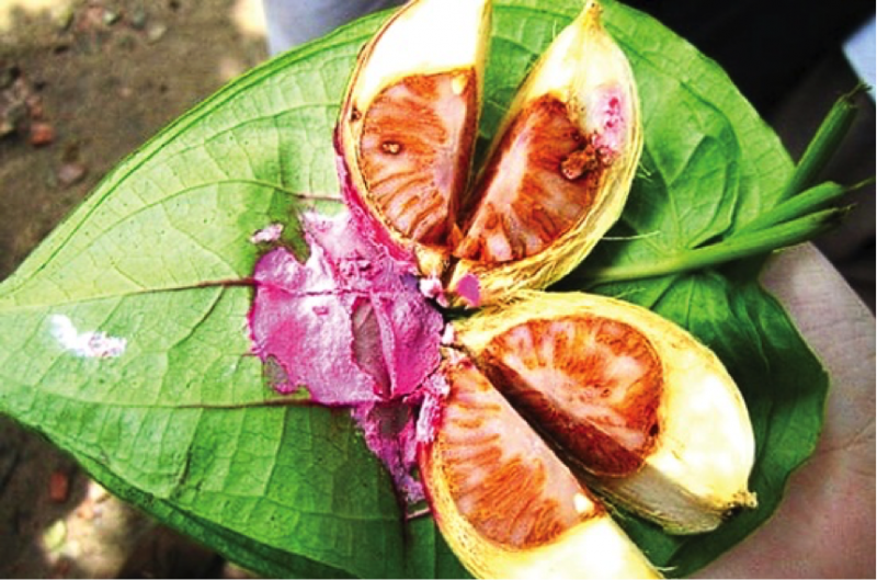 引用元：http://www.sgtiepthi.vn/mua-cuoi-chuyen-trau-cau/ キンマセット：タバコやガムに近い、噛む嗜好品