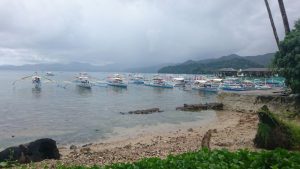 サバンの港の写真