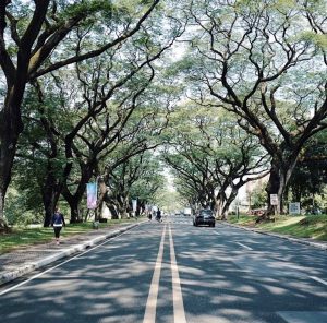 フィリピン大学　サンケンガーデンロード