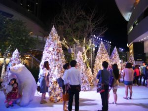 エムクオーティエ ツリー