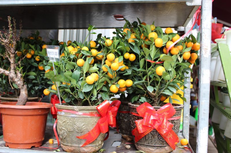 旧正月マレーシア7