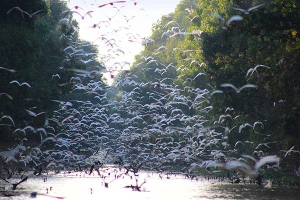 トラムチム国立公園