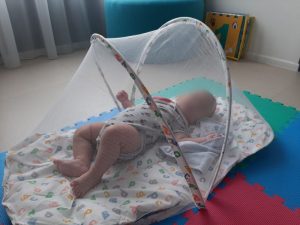 赤ちゃん　蚊帳の画像