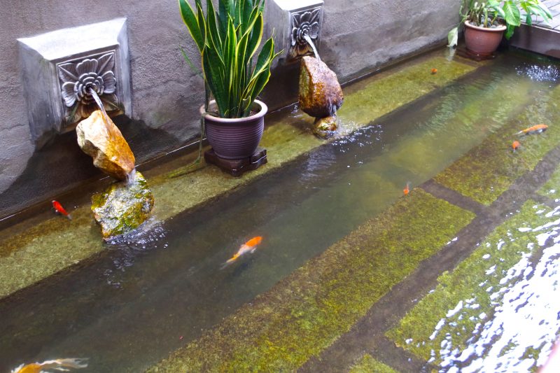 ペナン島クーコンシー