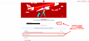 Airasia unlited passの画像