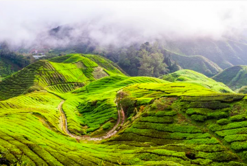 マレーシア　避暑地の画像